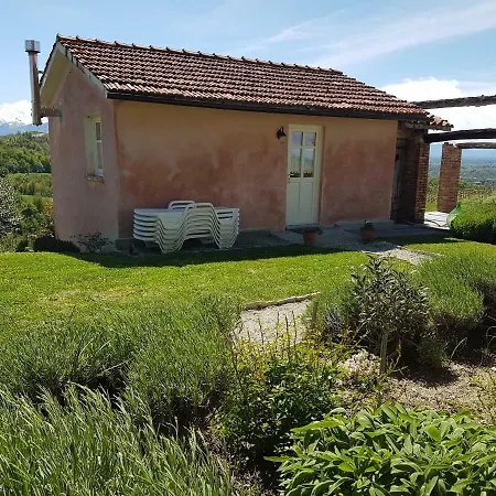Le Galline
